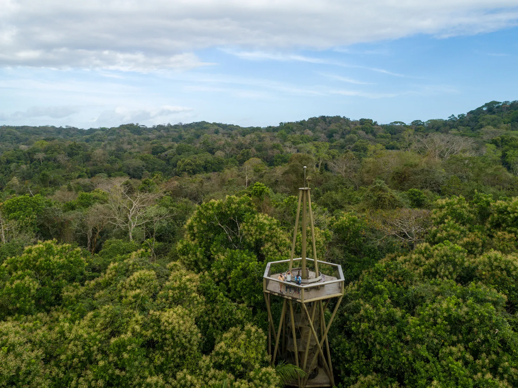 Tour d'observation s'élevant au-dessus de la canopée de la forêt tropicale de Gamboa