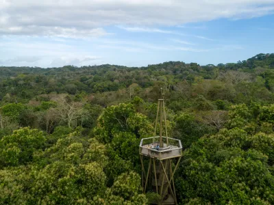 Aerial view of the observation tower above the Gamboa rainforest canopy