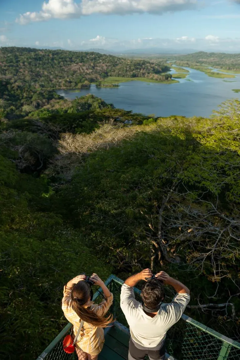 Voyageurs scrutant la forêt et les voies navigables depuis un point de vue élevé près de Gamboa