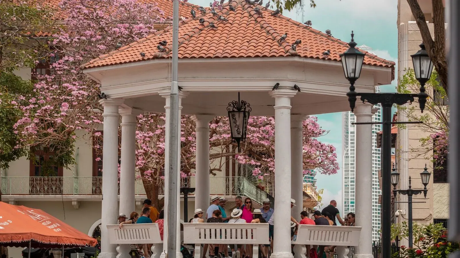 Plaza Bolivar bandstand framed by flowering trees
