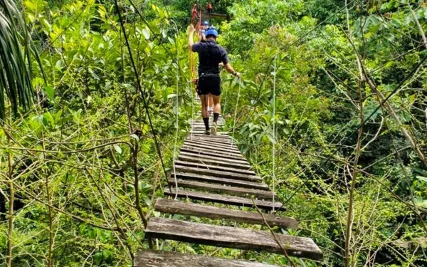 Crossing eco-puentes suspension bridges through the jungle canopy