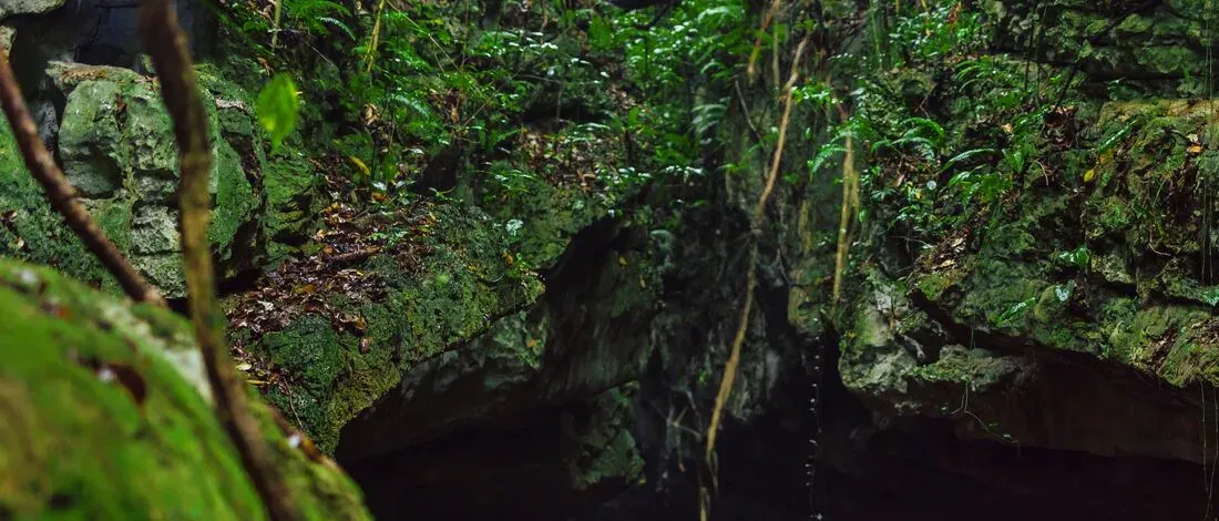 Jungle-covered river gorge in the Bayano area of eastern Panama