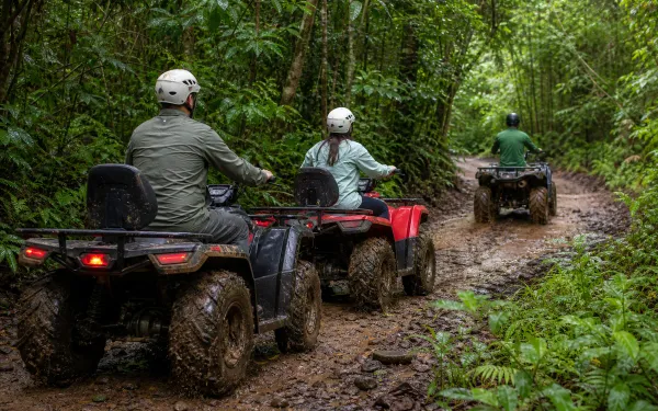 ATV riders following a muddy rainforest trail on the Blue Hill ATV Tour