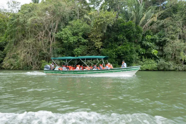 Boat tour on the Chagres River through lush rainforest