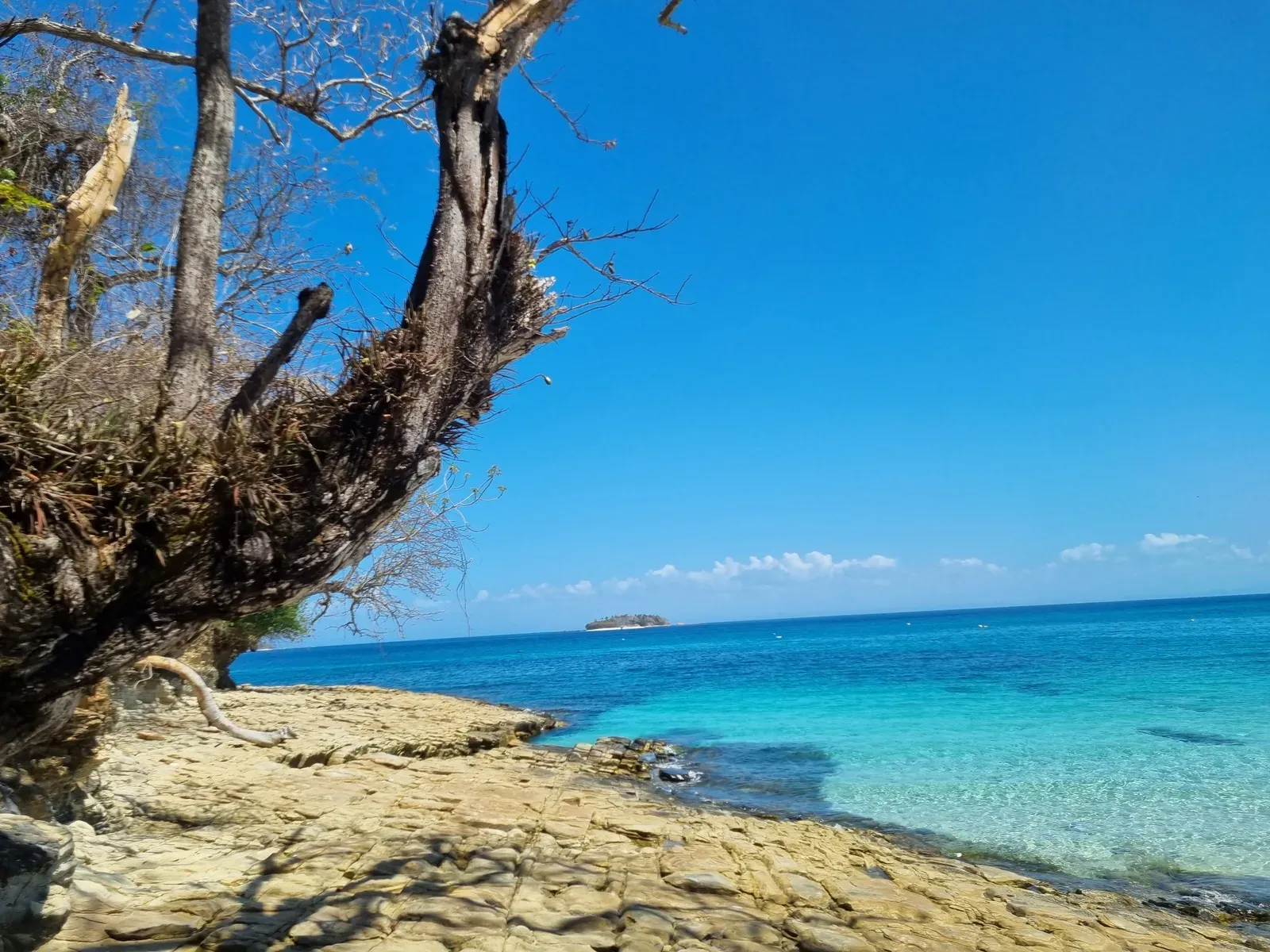 Tree-framed rocky shoreline and deep blue Pacific water on Contadora Island